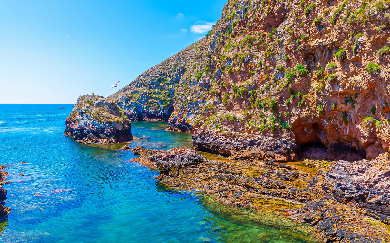 Tour to Berlenga Grande Island with Boat Trip to the Caves from Lisbon — gallery 2