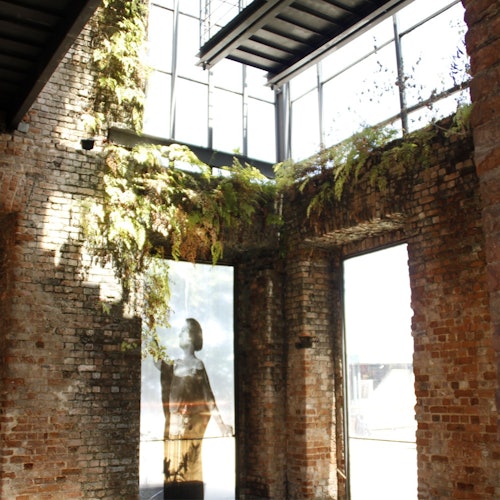Rio de Janeiro: Guided Santa Teresa & Selaron Steps Walking Tour — gallery 3