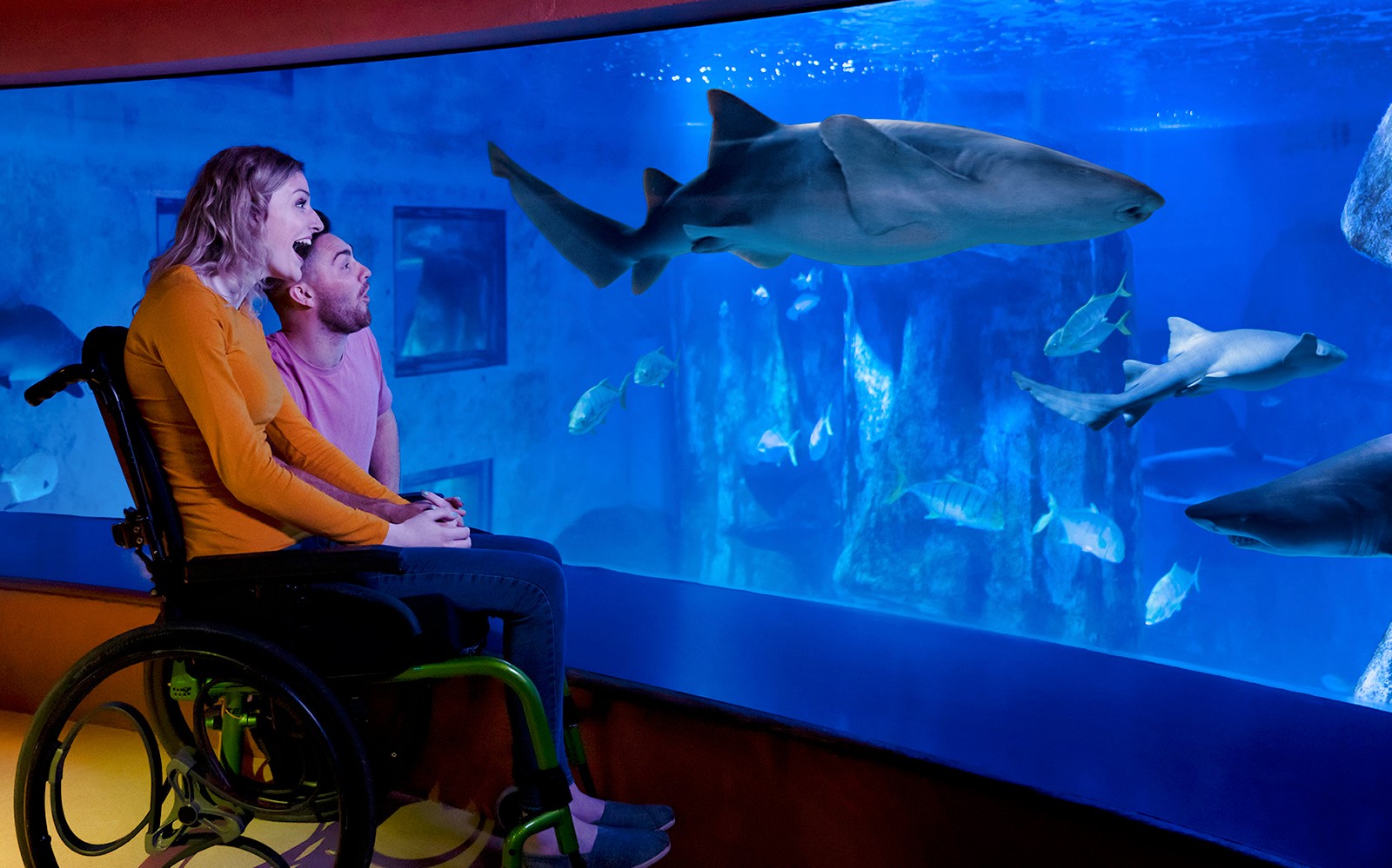 SEA LIFE London Aquarium: Anytime Entry Tickets
