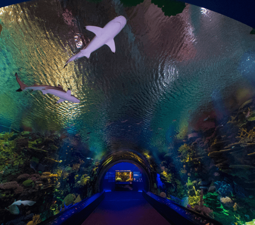 New York Aquarium: Entry Ticket