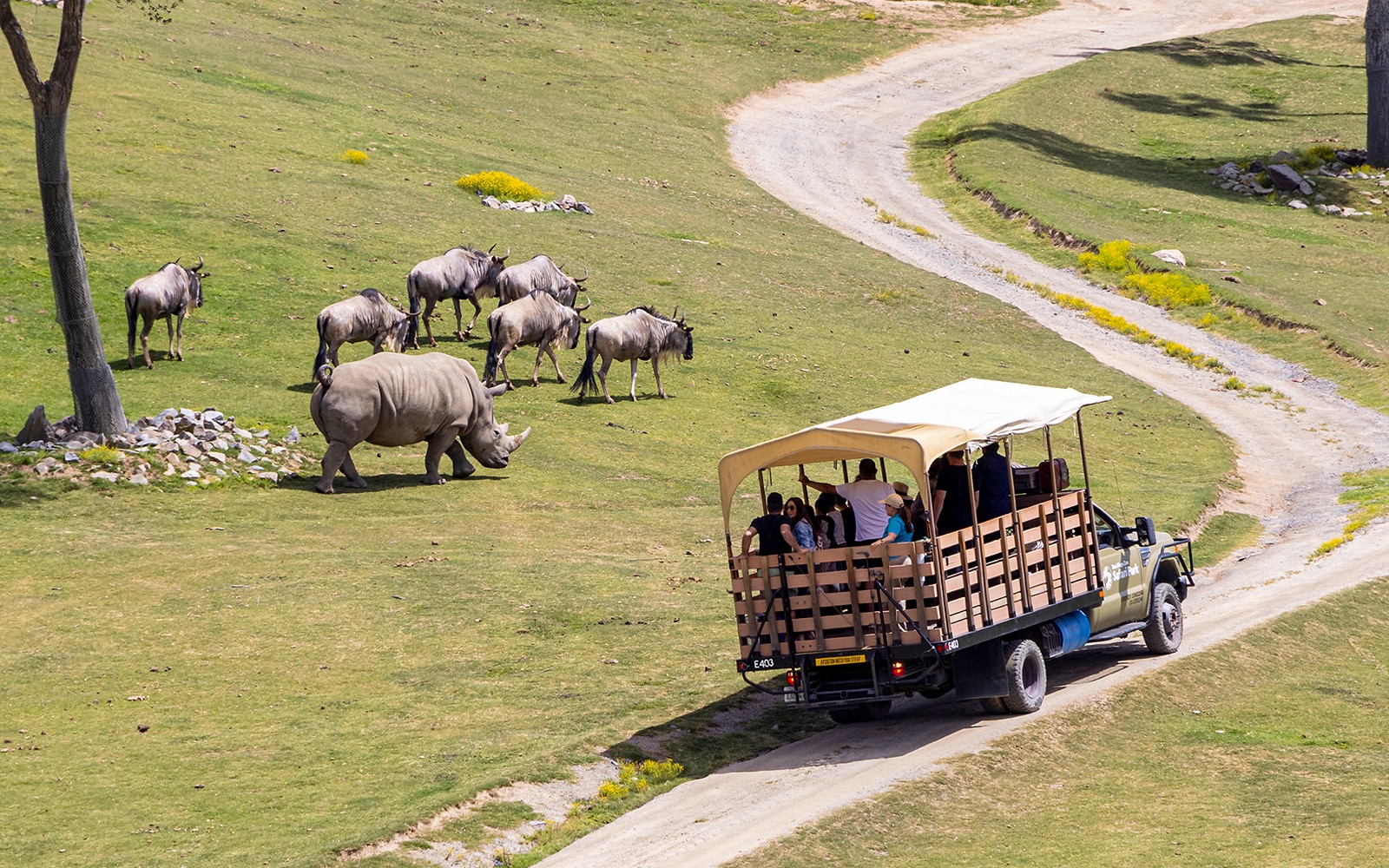 San Diego Zoo Safari Park Tickets
