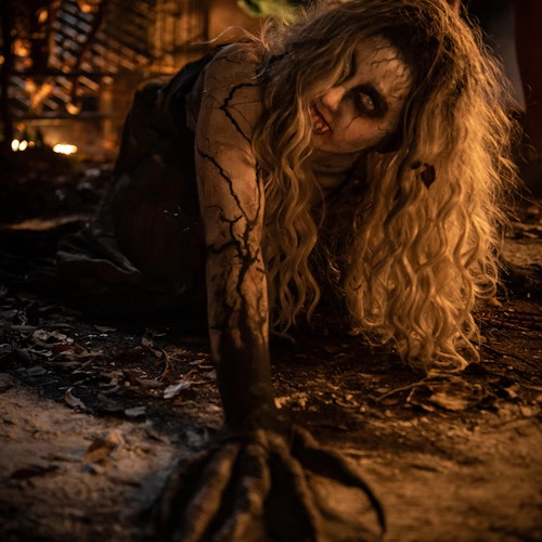 SeaWorld Orlando: Howl-O-Scream