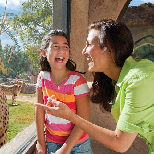 Busch Gardens Tampa: Entry Ticket with Optional Quick Queue — gallery 1