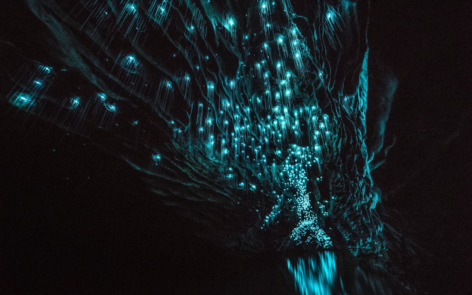 Aranui Cave Guided Tour