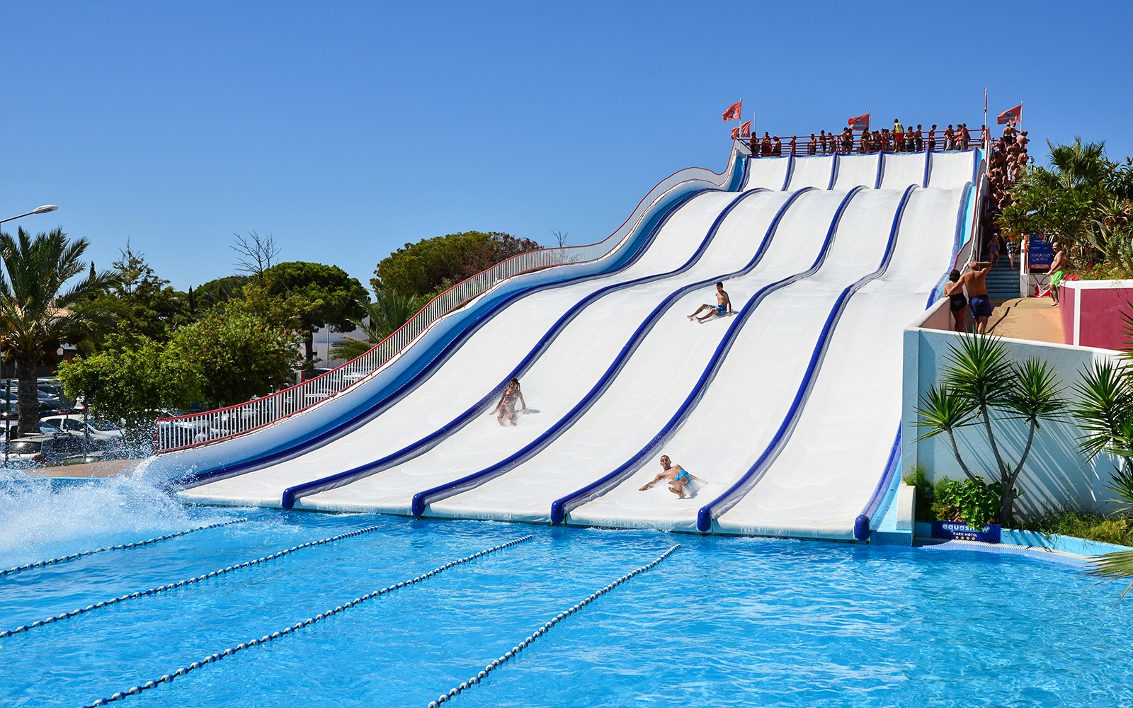 Aquashow Park Tickets — gallery 2