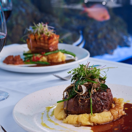 Cairns Aquarium: Night Entry + 2-Course Dinner — gallery 1