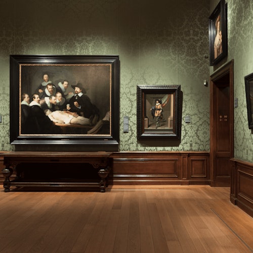 The Mauritshuis Museum: Entry Ticket — gallery 5
