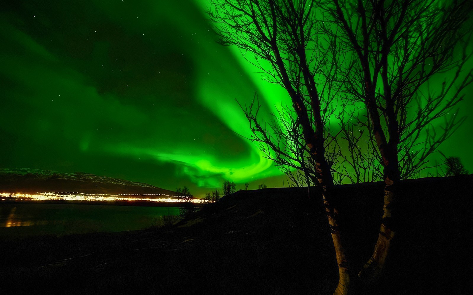 3 to 4-Hour Aurora Borealis Lights Chase Small-Group Tour by VIP Minivan — gallery 5