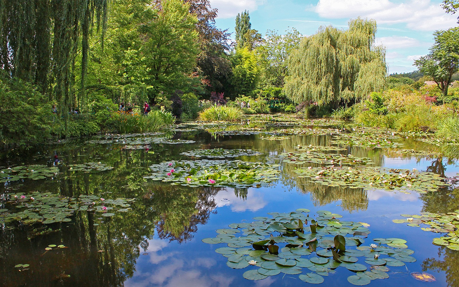 Half-Day Tour to Giverny from Paris with Monet’s House & Gardens — gallery 4