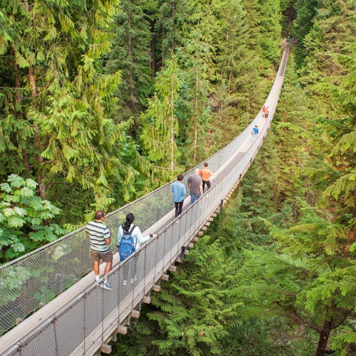 Vancouver: City Highlights Tour + Vancouver Lookout & Capilano Suspension Bridge — gallery 1