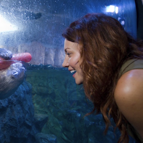 Aquarium of the Pacific: Membership Voucher — gallery 4