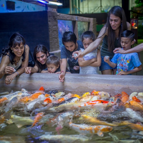 Austin Aquarium: Entry Ticket