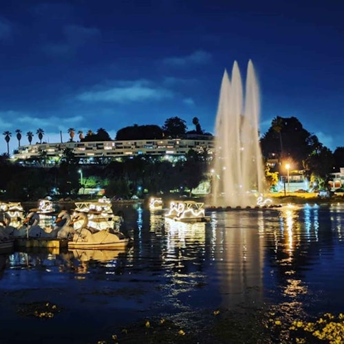 Los Angeles Echo Park: Swan Boats Rental — gallery 4