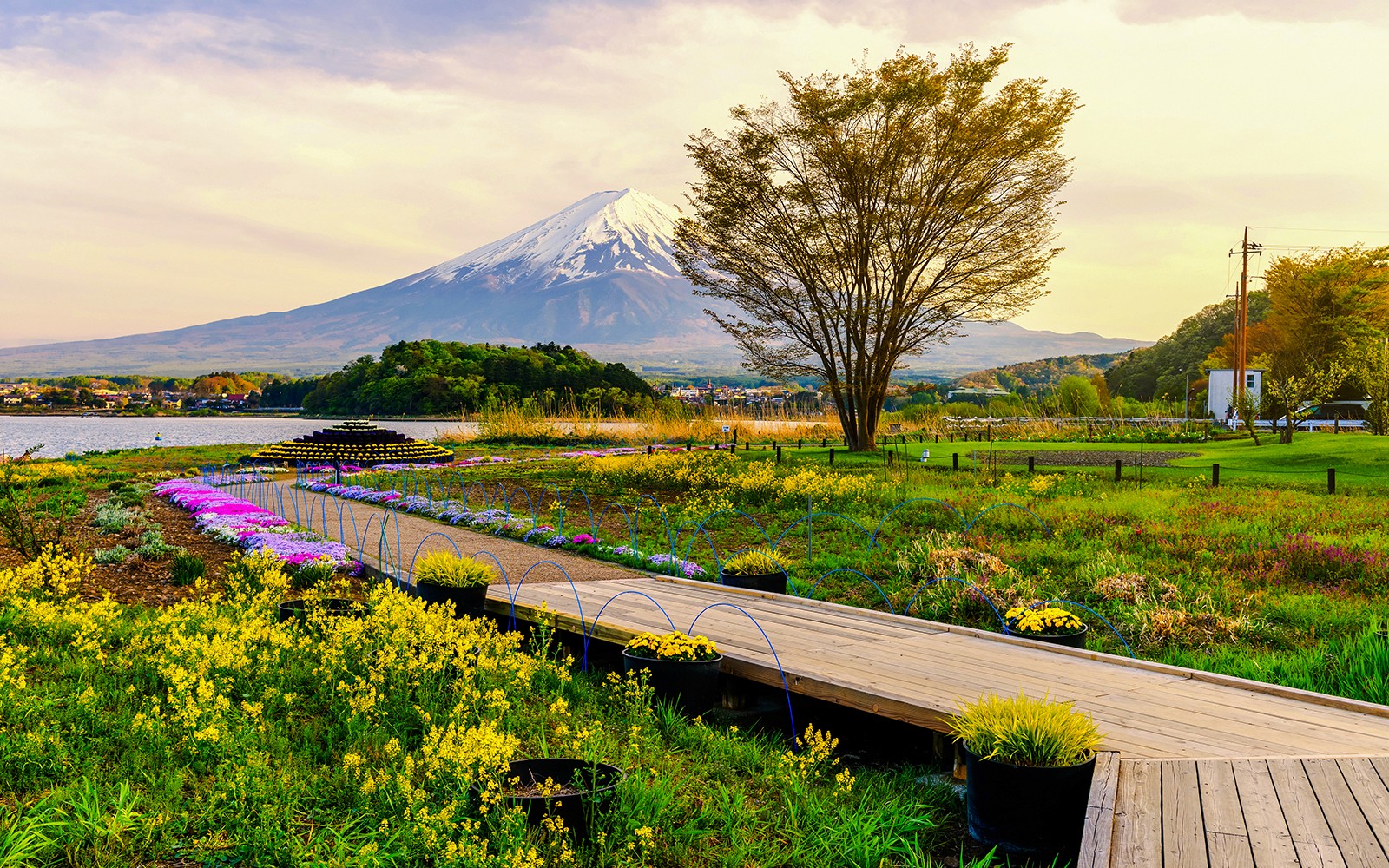 Mount Fuji Highlights Tour: Chureito Pagoda, Lake Kawaguchi, Oshino Hakkai, & More