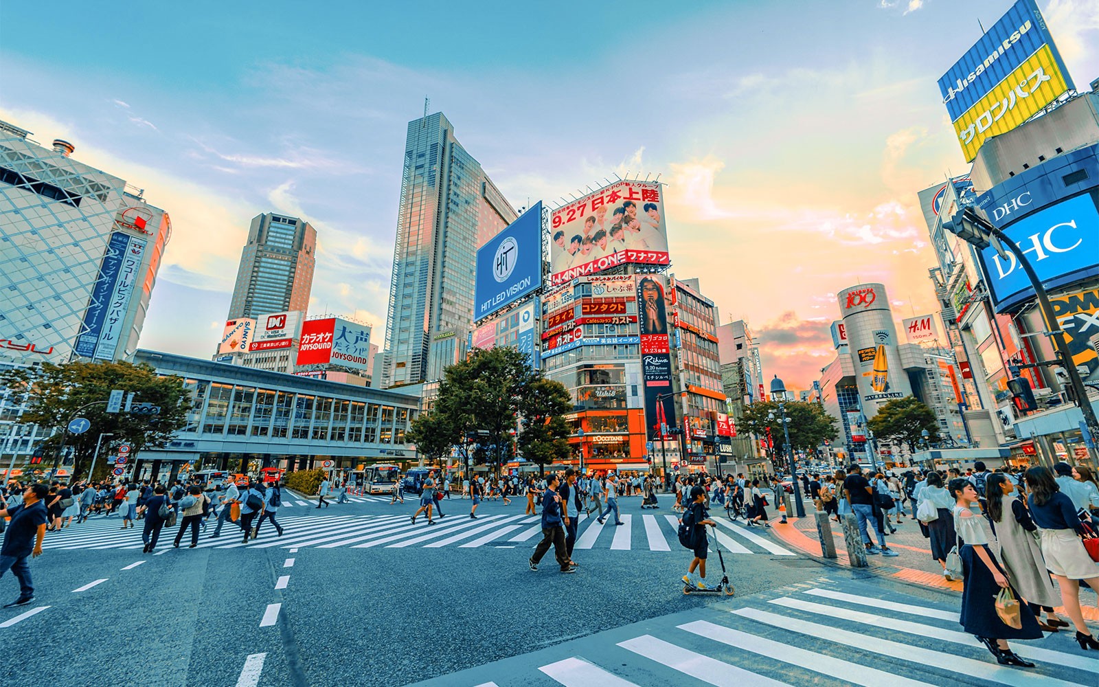 Shibuya Street Ride: Tokyo Panoramic Bus Tour — gallery 2