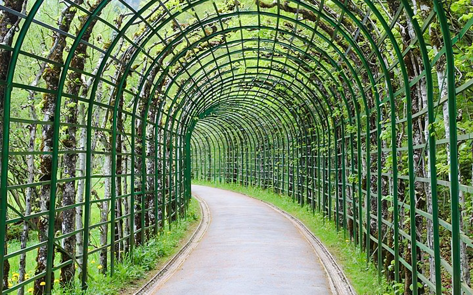 From Munich: Full-Day Guided Tour of Neuschwanstein & Linderhof Palace Grounds — gallery 4