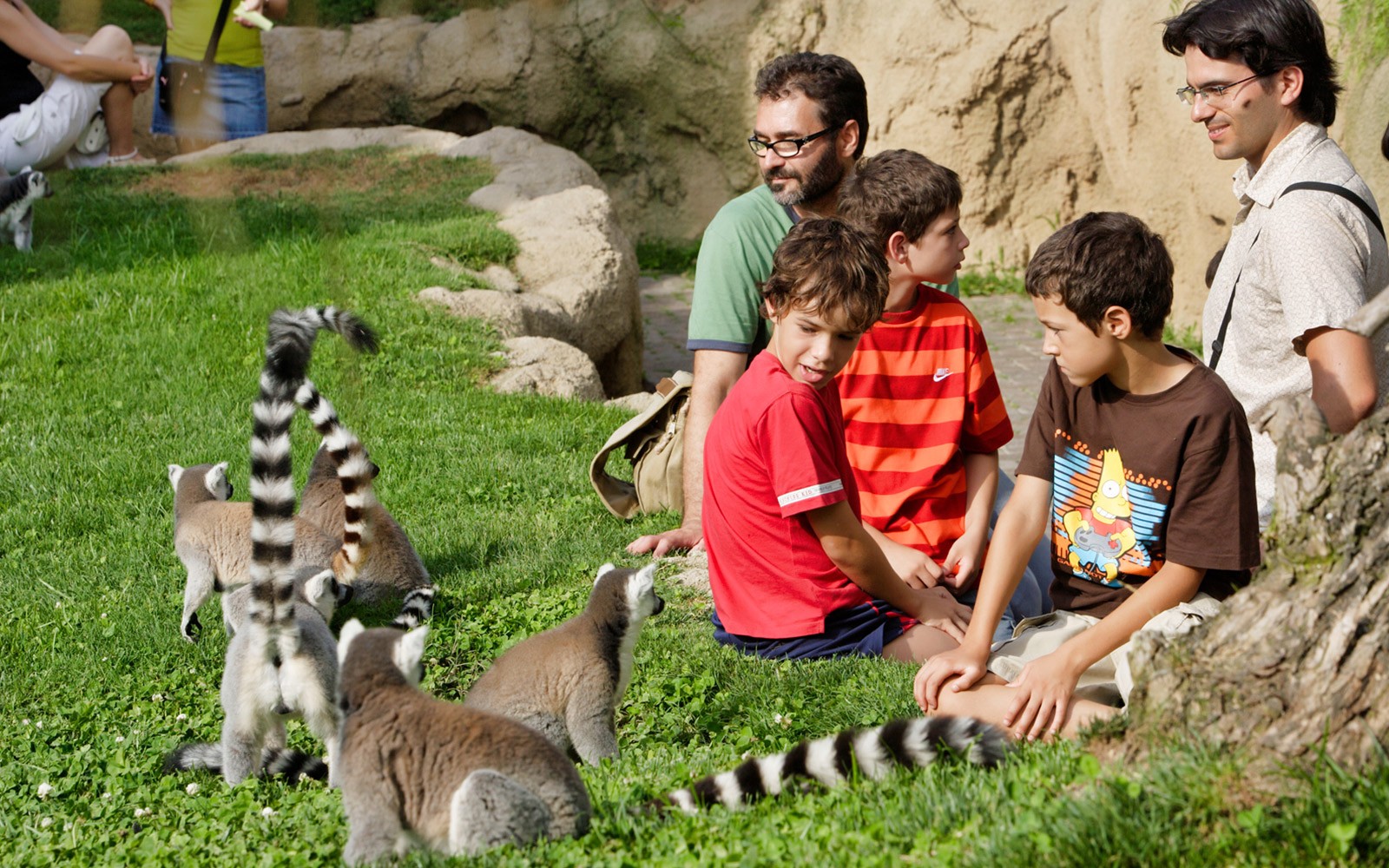 Bioparc Valencia Tickets