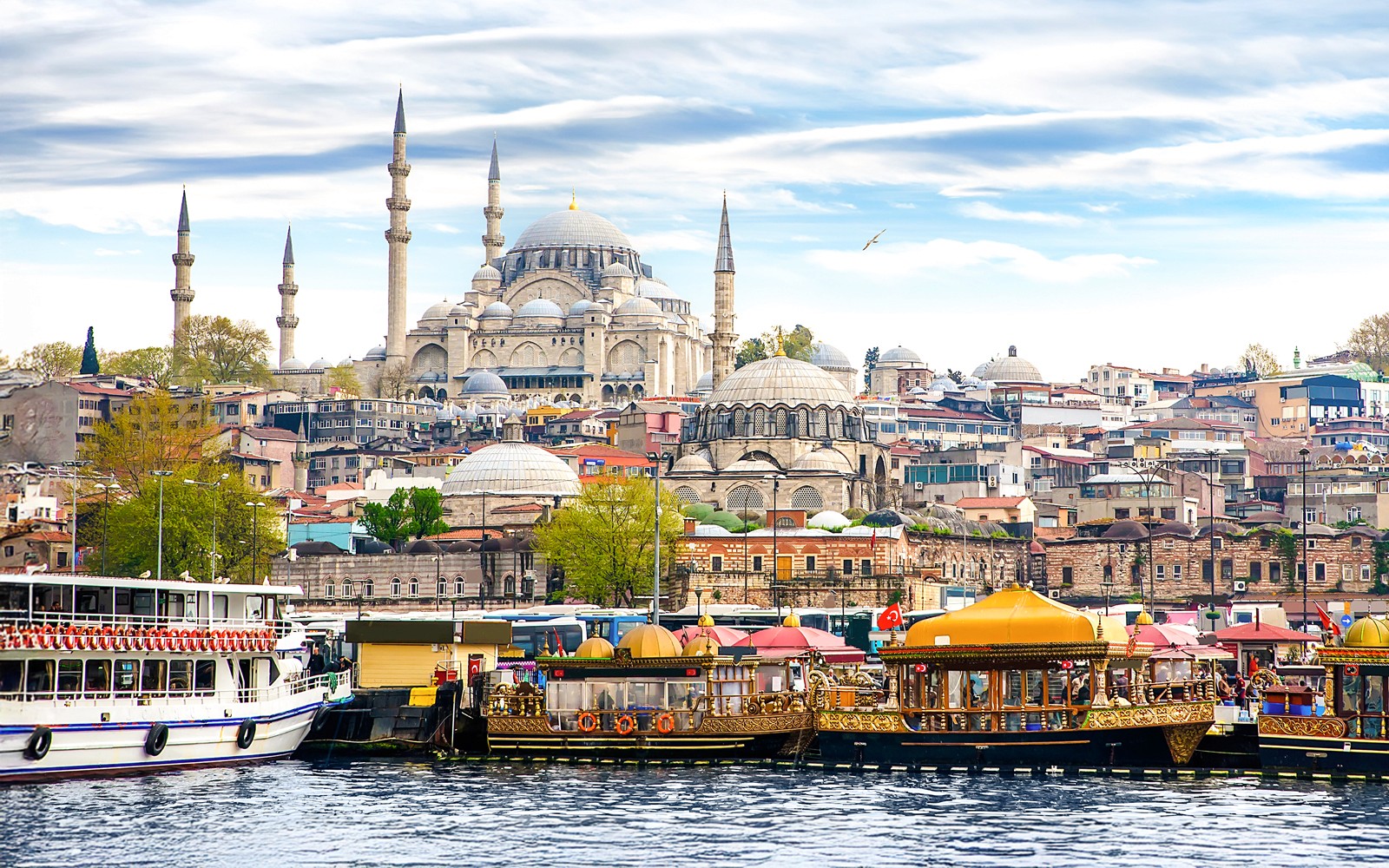 Blue Mosque Guided Tour with Options — gallery 4