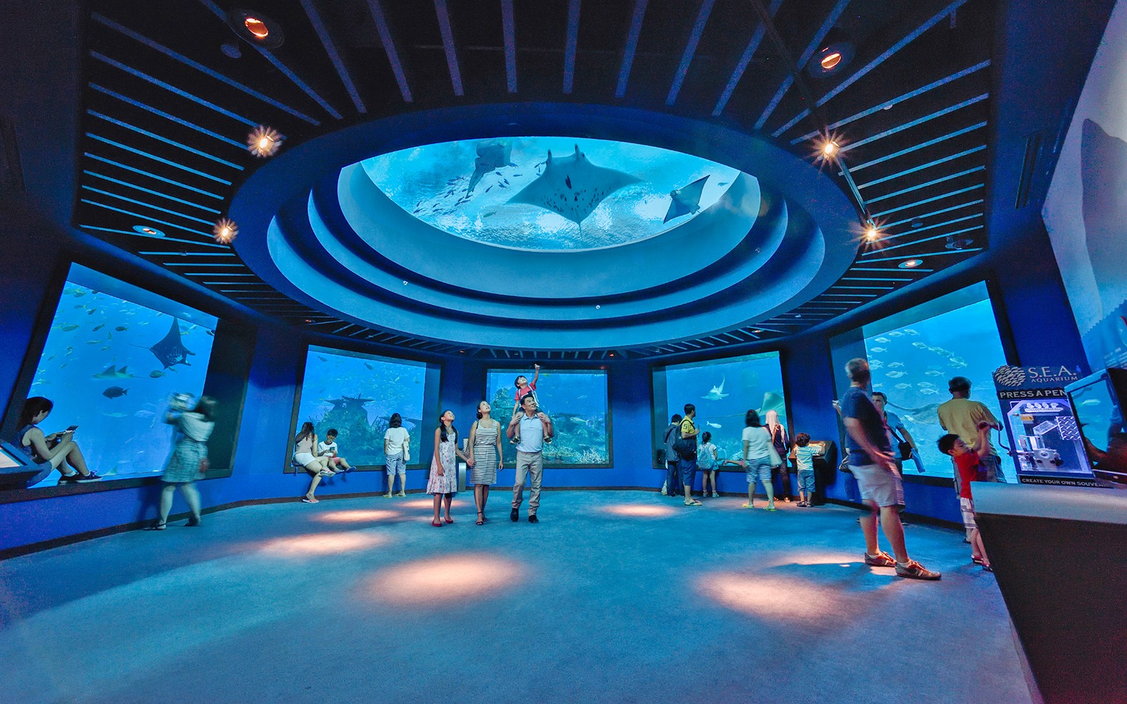 Singapore Oceanarium Tickets — gallery 5