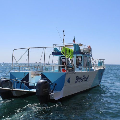 Ponta da Piedade Caves: Kayak Tour from Lagos