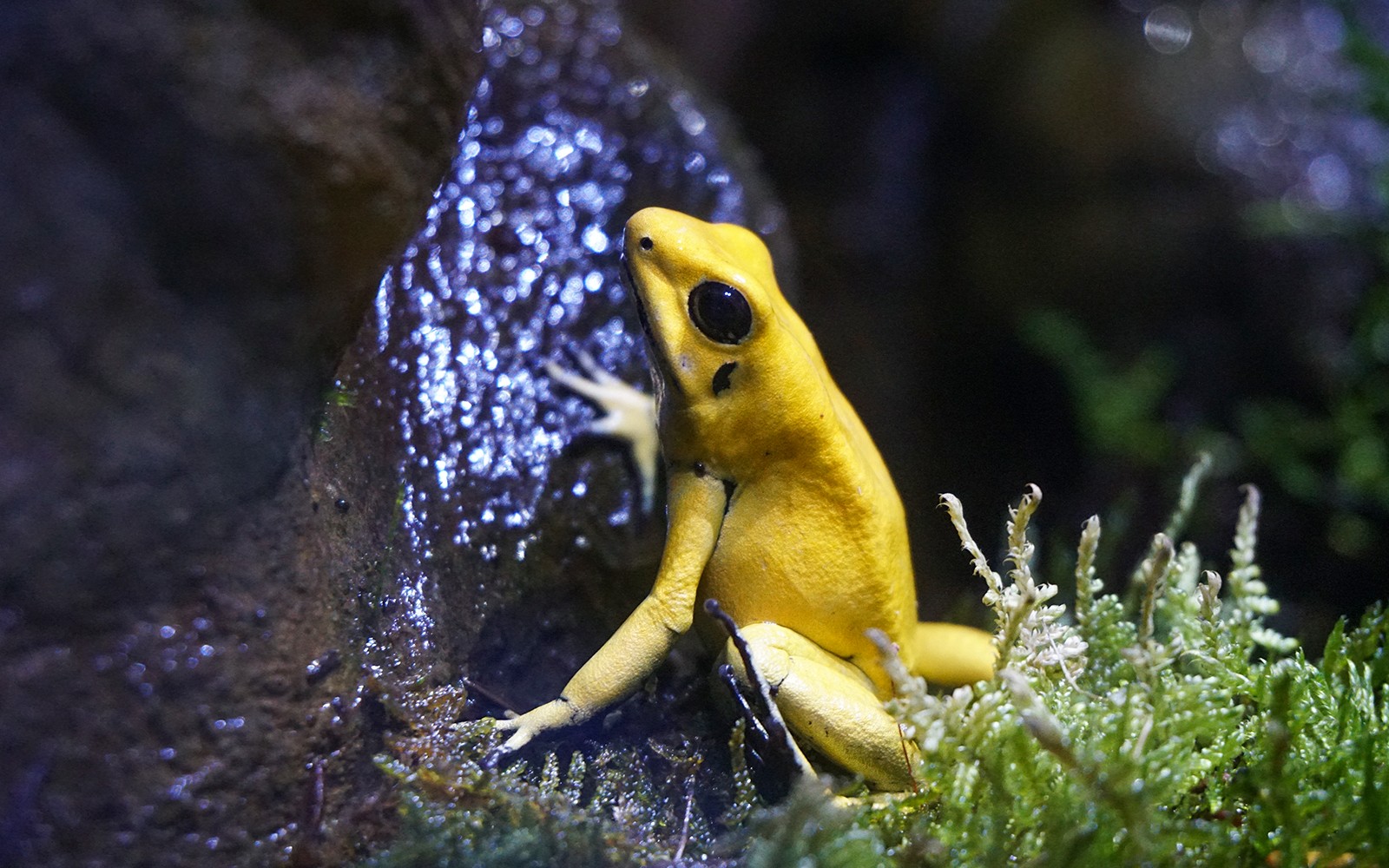 Seville Aquarium Tickets — gallery 4