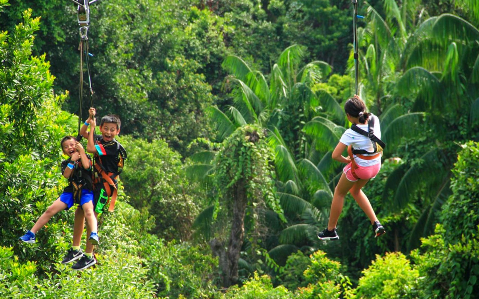 Combo: MegaZip Tickets at Mega Adventure Park Sentosa + Singapore Cable Car Sky Pass / Albatross Speedboat Adventures — gallery 4