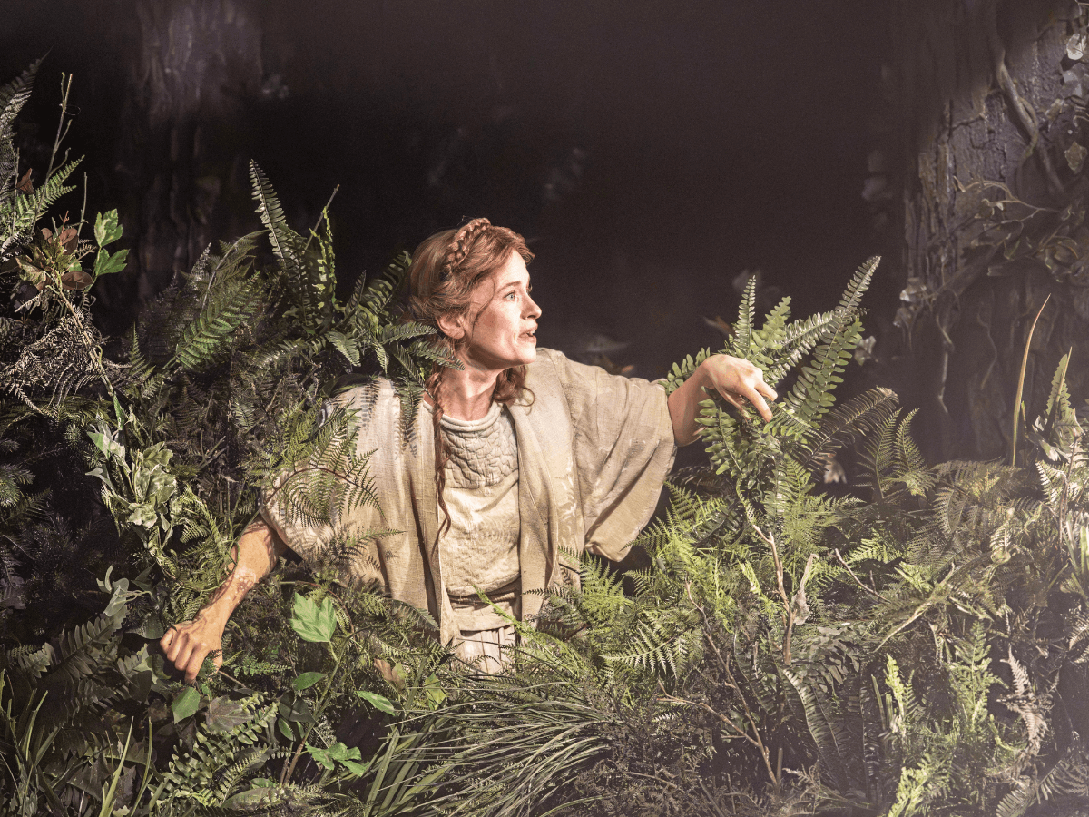 Into the Woods — gallery 5