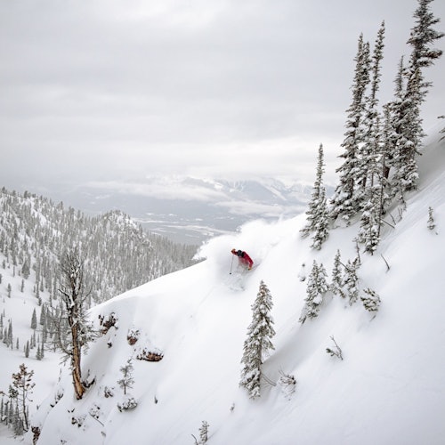 Kicking Horse Mountain Resort: Powder Express Shuttle from Banff + Ski Lift Pass — gallery 4