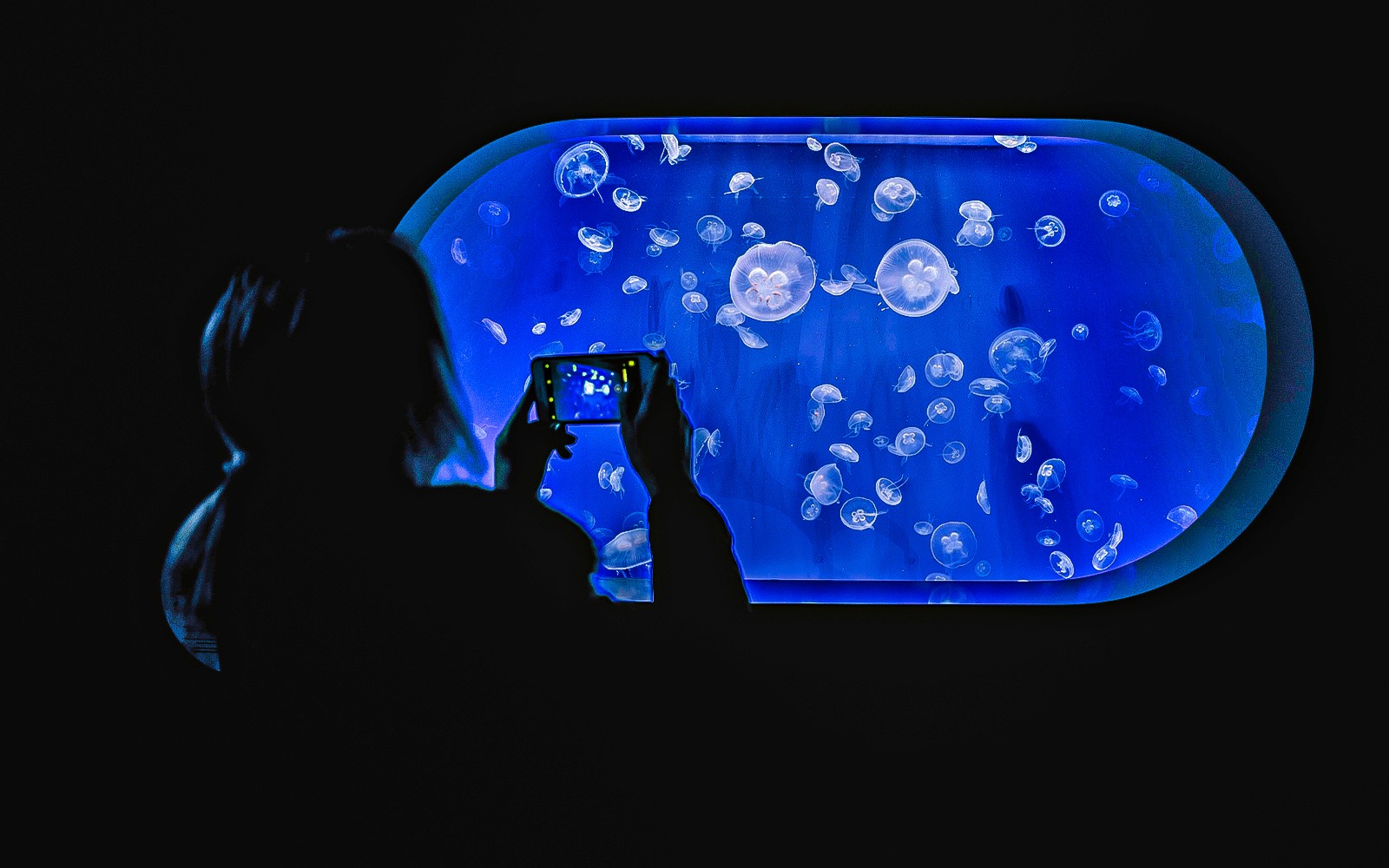 Oceanogràfic Tickets 