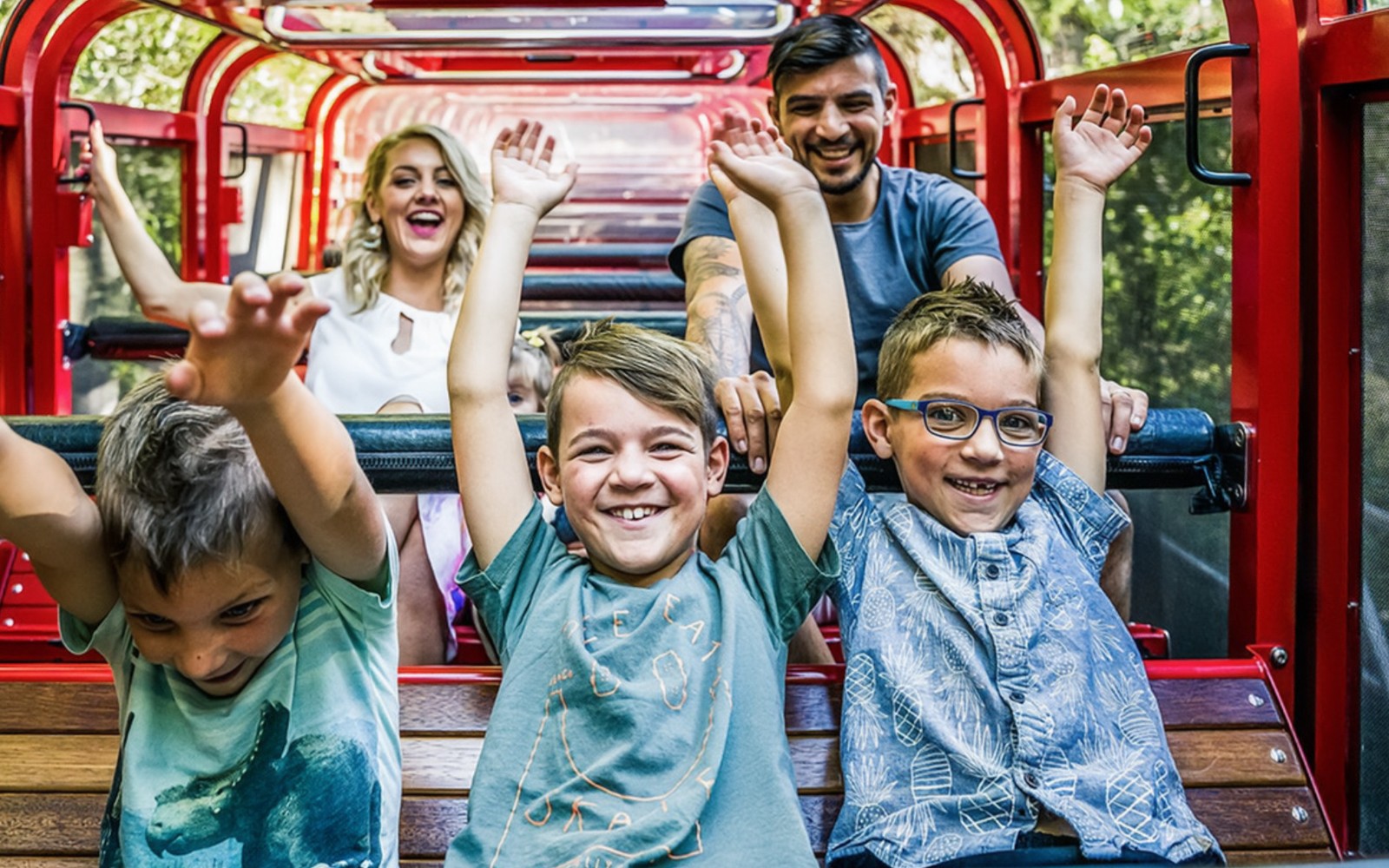 Blue Mountains Hop-On Hop-Off Explorer Bus + Scenic World Tickets