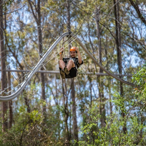 Western Sydney: Treetops Adventure — gallery 2