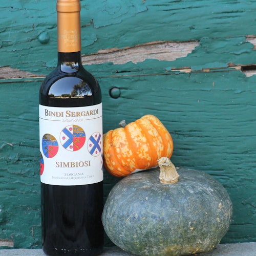 Siena: Mocenni Premium Wine, Oil and Food Tasting at Tuscany Vineyard — gallery 1