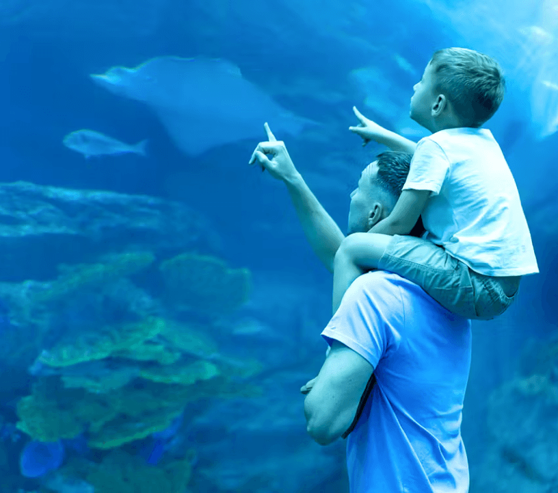 Dubai Aquarium & Underwater Zoo: Gold Pass