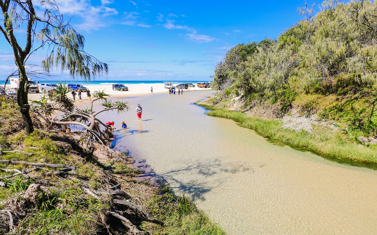 From Hervey Bay: K'gari (Fraser Island) 1-Day Classic Coach Tour with Lunch — gallery 1