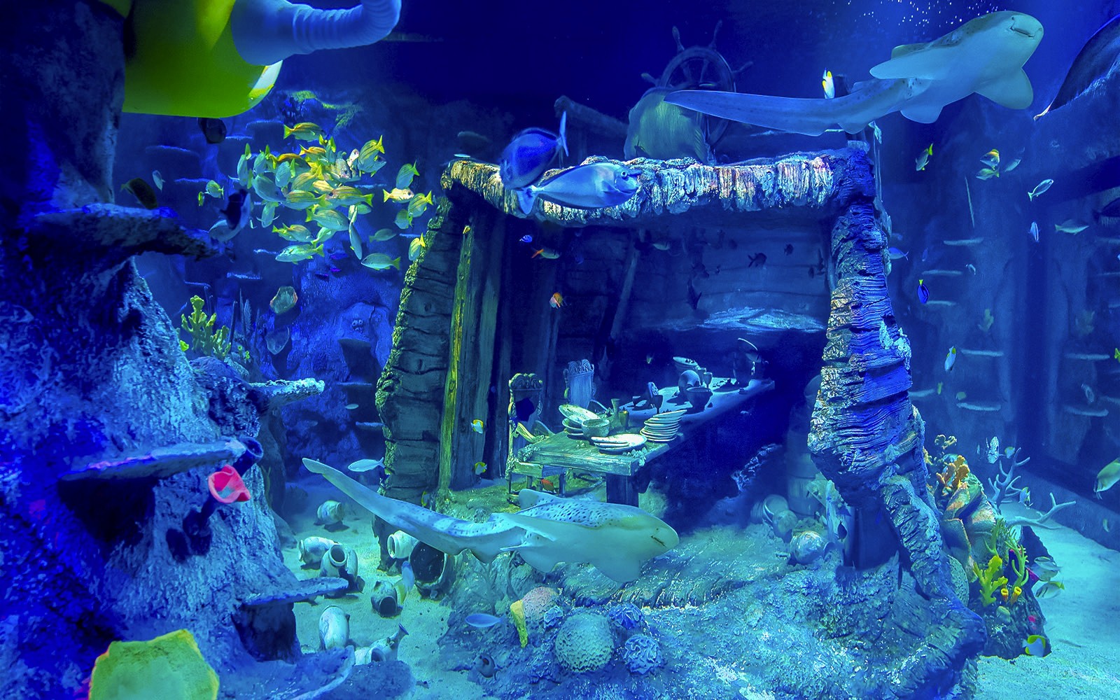 LEGOLAND® Malaysia SEA LIFE — gallery 4
