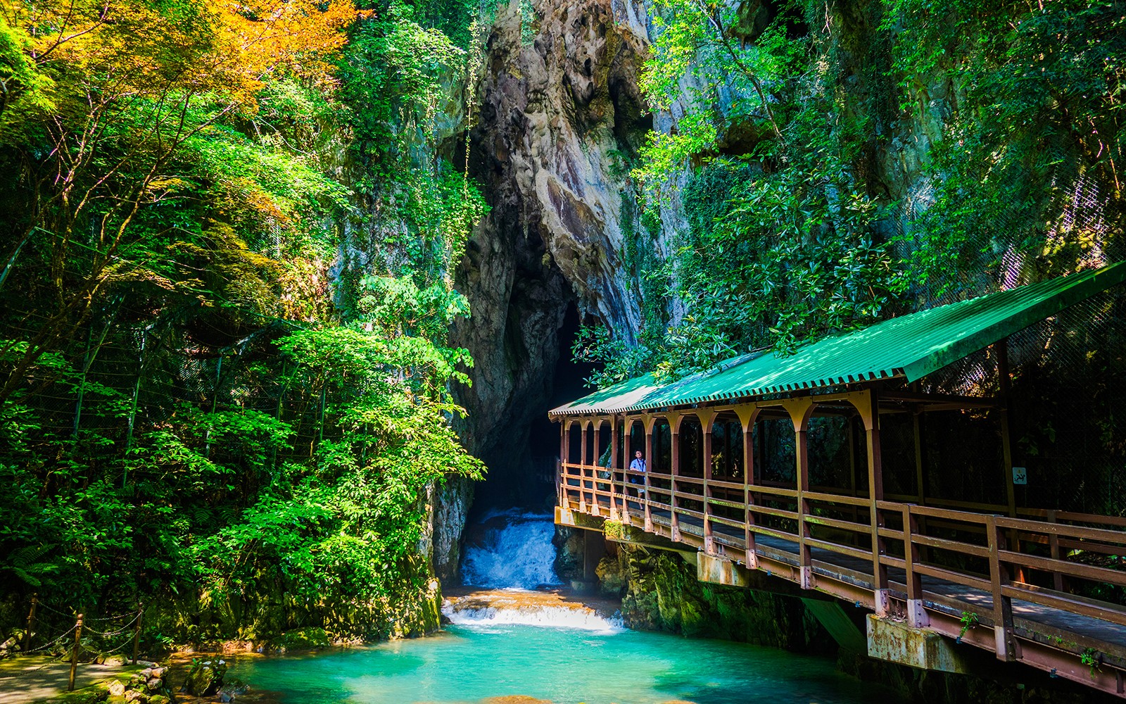 From Trogir: Full-Day Guided Tour of Plitvice Lakes National Park