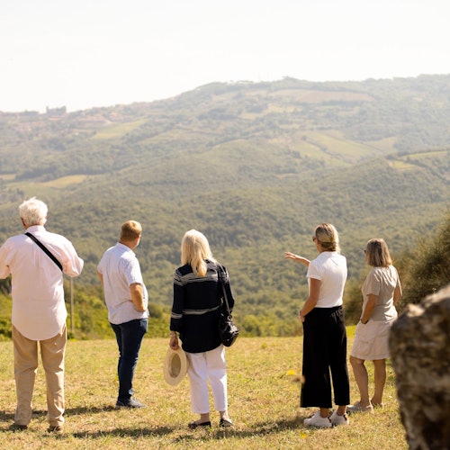 Corte Pavone Winery Estate: Guided Winery Tour with Montalcino Wine Tasting