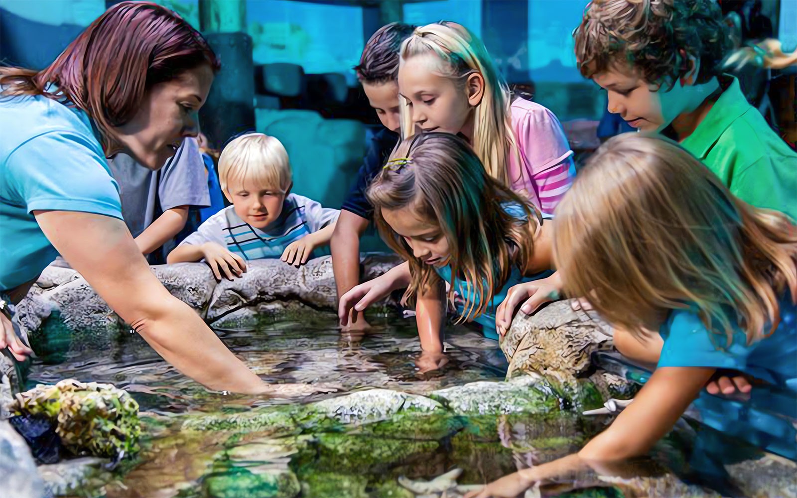 ICON Park Attraction Package: The Orlando Eye, Madame Tussaud's and SEA Life Aquarium — gallery 5