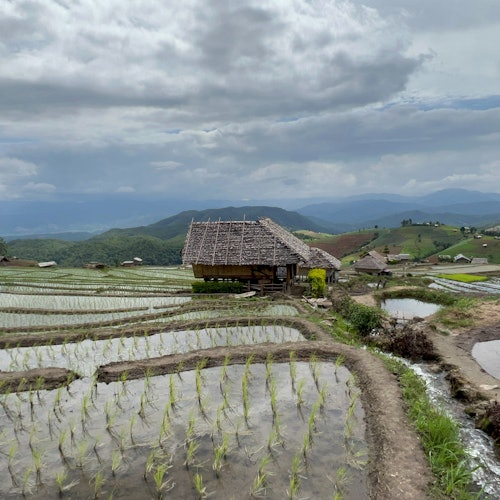 Doi Inthanon National Park: Guided Day Tour from Chiang Mai + ATV Ride + Lunch — gallery 5
