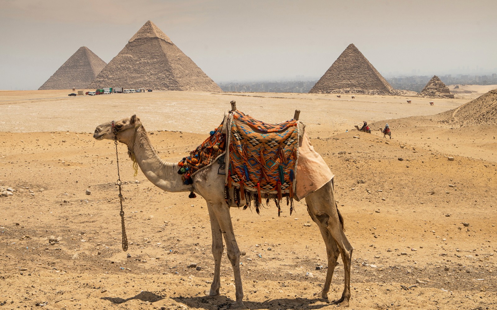 From Cairo: Full-Day Guided Tour of Giza Pyramids, Sphinx, Saqqara & Memphis with Lunch & Hotel Transfers — gallery 4