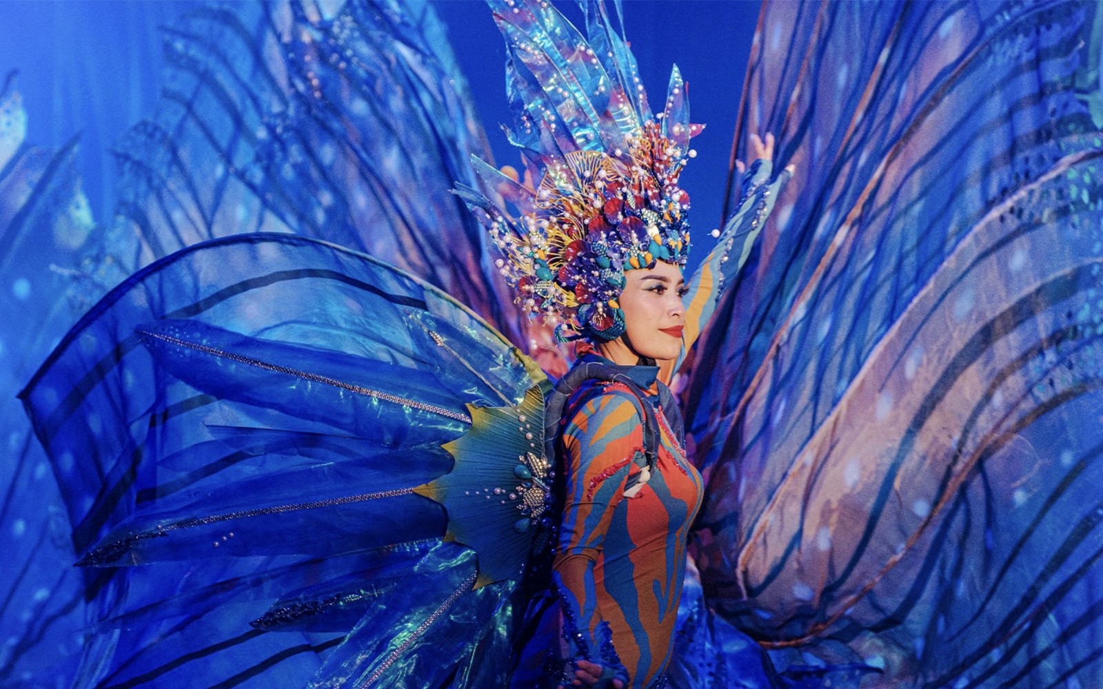 Varuna Underwater Show Tickets