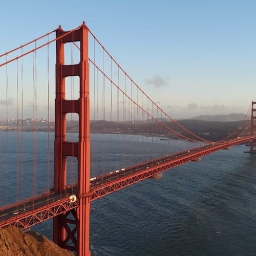 Muir Woods and Sausalito: Small-Group Tour — gallery 1