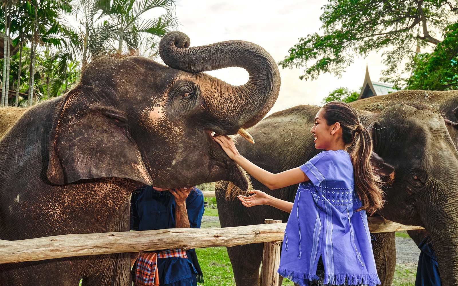 Bangkok Elephant Park Half-Day Elephant Care Experience — gallery 2