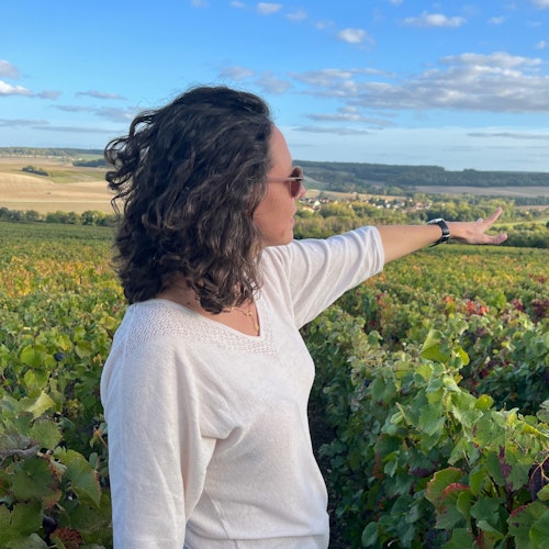 Sancerre: Wine Tastings + Lunch from Paris