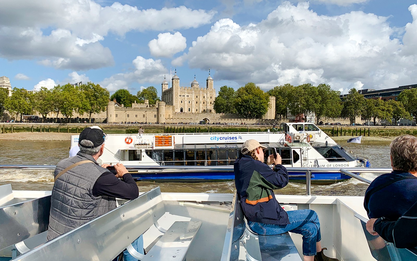 Thames Sightseeing Cruise with Flexible Time and Departure Pier — portrait