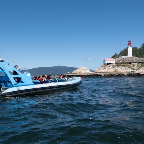 Vancouver: City and Seal Cruise — gallery 4