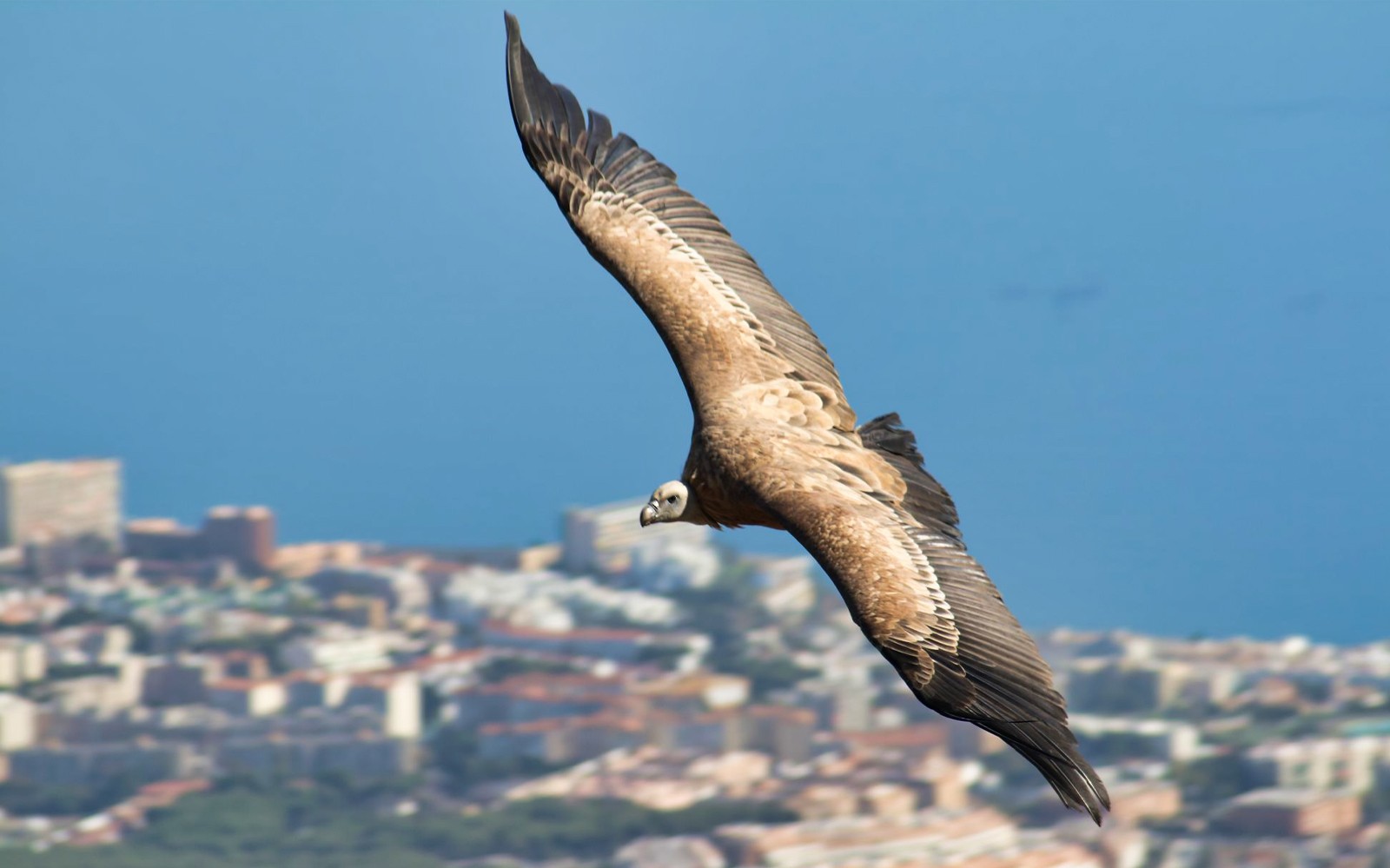 Benalmadena Cable Car Tickets