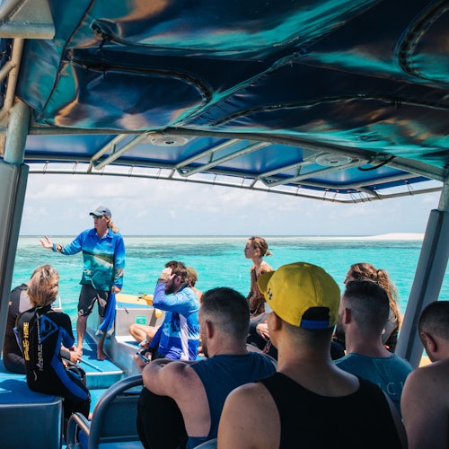 Ocean Safari Great Barrier Reef Tour from Cape Tribulation — gallery 4