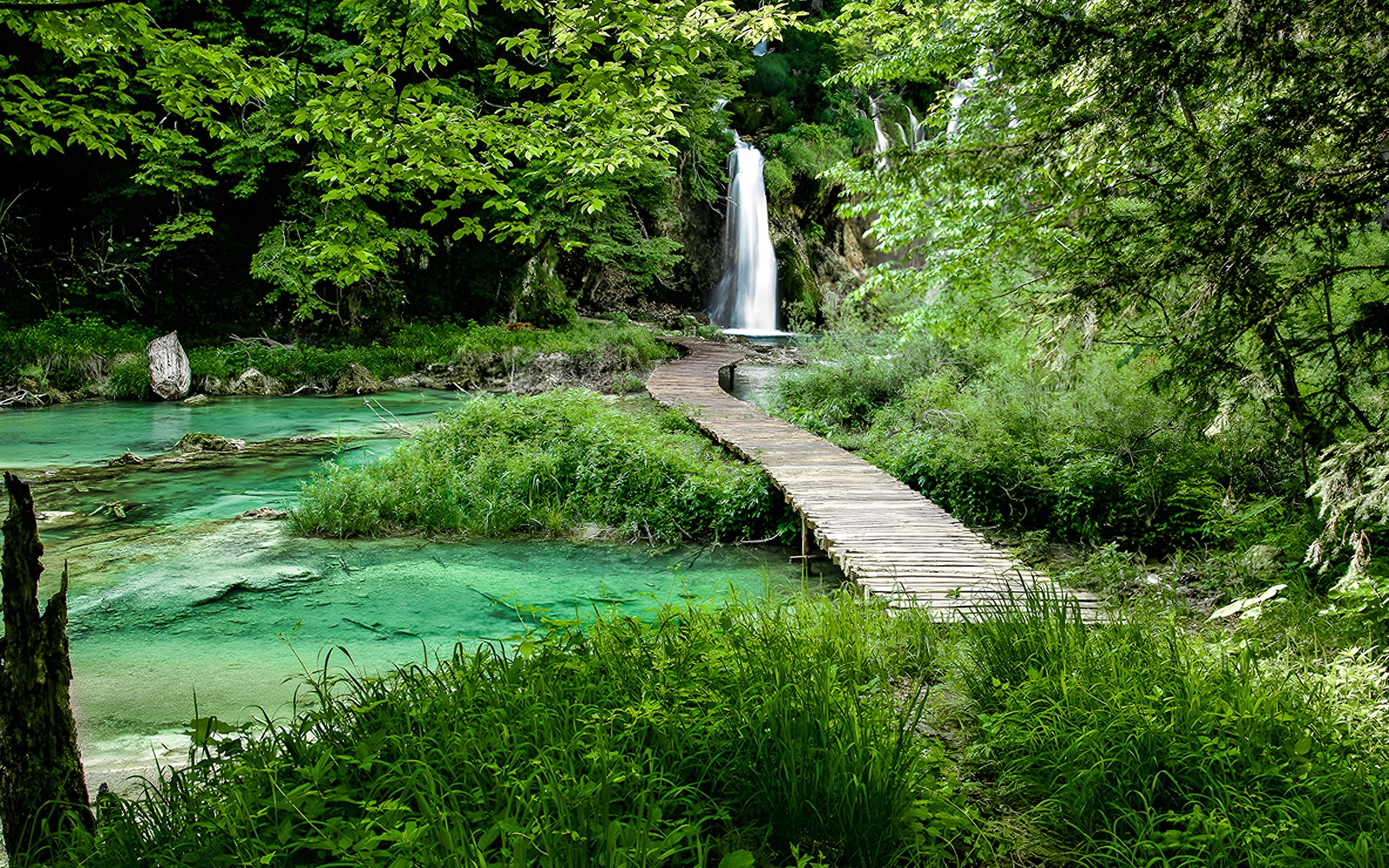 Plitvice Lakes National Park Entry with Panoramic Train & Boat Ride