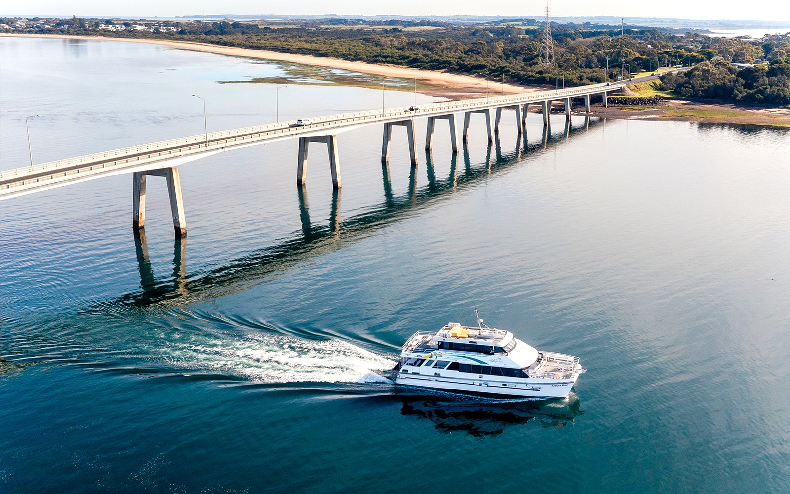 Cape Woolamai Morning Cruise at Phillip Island — gallery 1